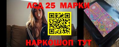 a pvp Новозыбков