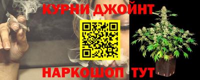 a pvp Новозыбков