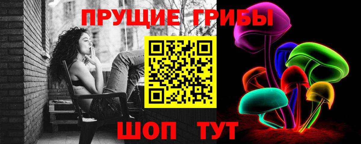 Галлюциногенные грибы Psilocybine cubensis Славянск-на-Кубани