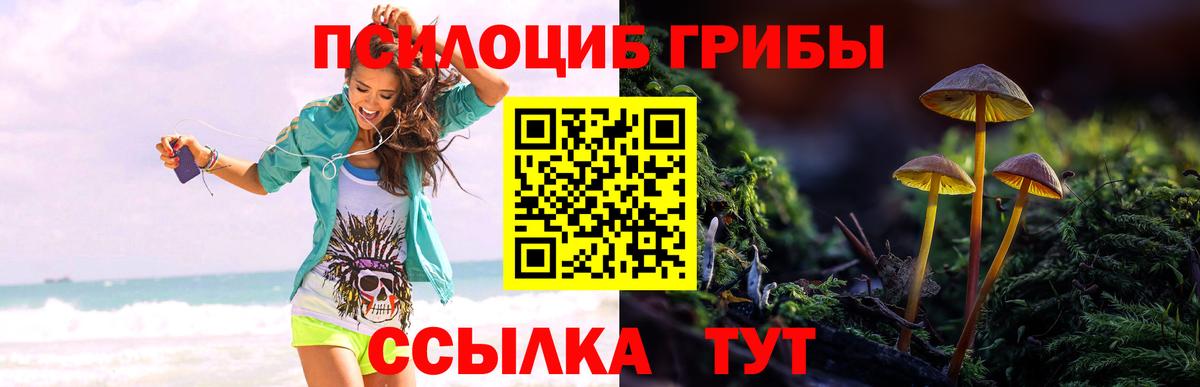 Славянск-на-Кубани  Псилоцибиновые грибы Cubensis  Вход с VPN 